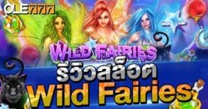 รีวิวสล็อต Wild Fairies  